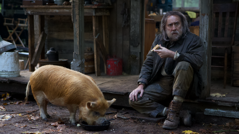 Pig