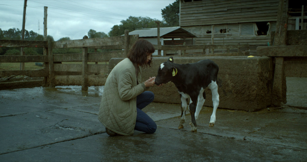 The Cow Who Sang a Song Into the Future