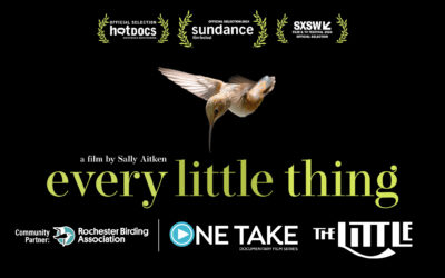 Every Little Thing – Feb. 20 & 22