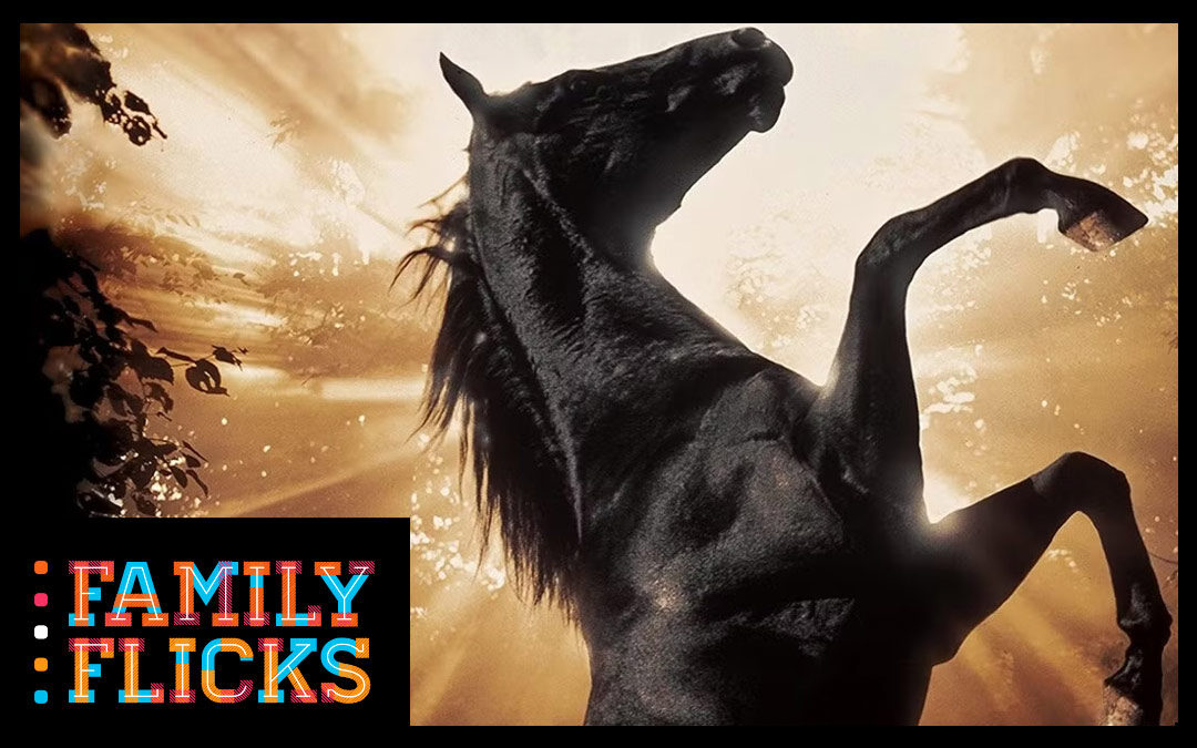 Black Beauty – July 27