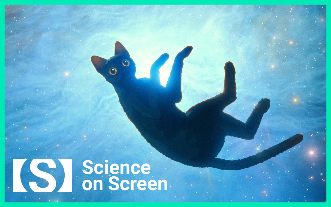 Flow (w/ presentation) – Feb. 22