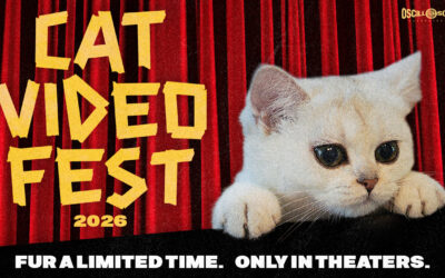 CatVideoFest 2026
